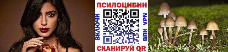 Купить Венёв Галлюциногенные грибы MAGIC MUSHROOMS