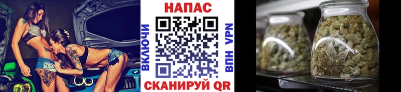 Канабис SATIVA & INDICA  Купить закладки  Венёв 